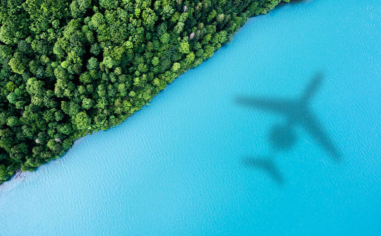 shadow of plane on water